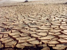 Produtores rurais do Rio Grande do Norte estão preocupados com as estiagens