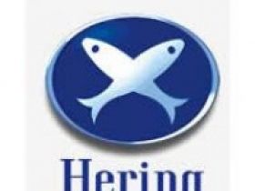 HERING divulga resultado acima do esperado pelo mercado.
