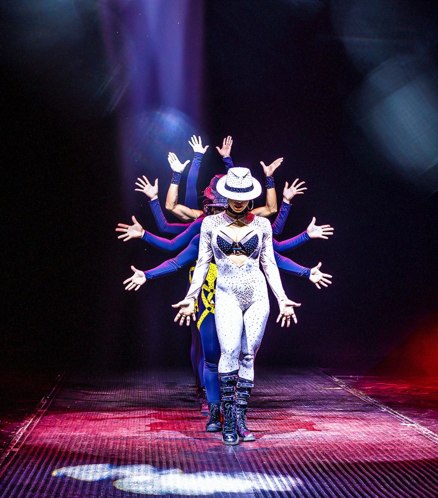 Entretenimento | Após 20 anos, Internacional Circo Kroner retorna a Natal com espetáculo emocionante