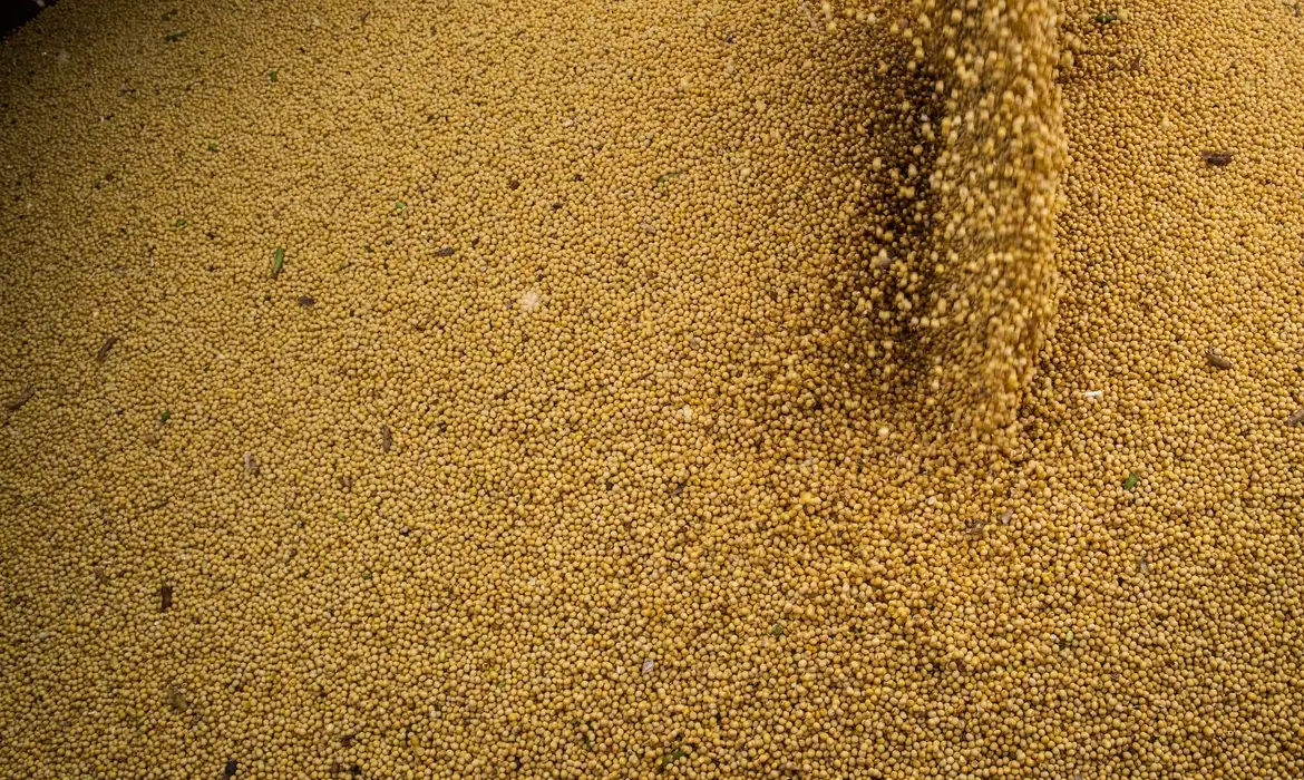 Economia | Agro cresce 11,7%, impulsiona PIB e ganha participa&ccedil;&atilde;o na economia